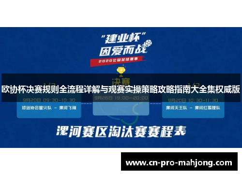 欧协杯决赛规则全流程详解与观赛实操策略攻略指南大全集权威版