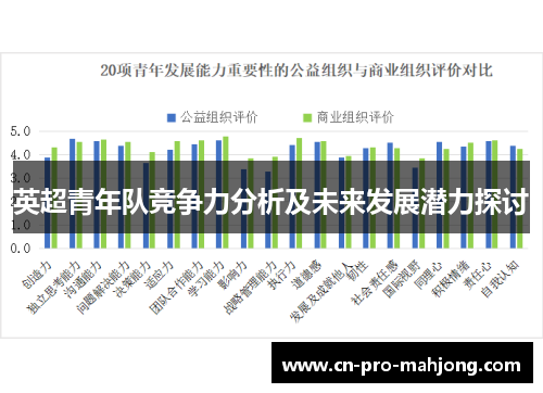 英超青年队竞争力分析及未来发展潜力探讨