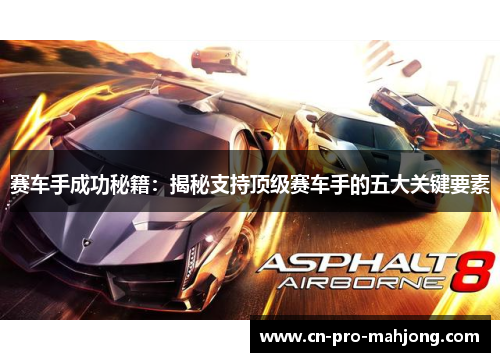 赛车手成功秘籍：揭秘支持顶级赛车手的五大关键要素